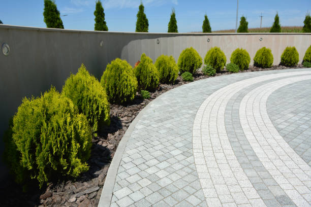 Best Professional Driveway Pavers  in Crandon Lakes, NJ